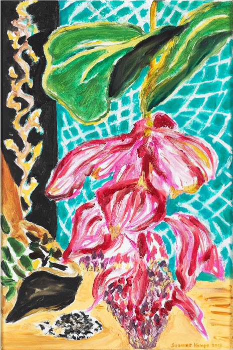 Medinilla  2012  Oel auf Leinwand  60 x 40 cm/24 x 16 in